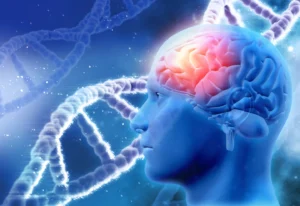 Científicos descubren vínculo entre el ejercicio físico, la microbiota intestinal y la salud del cerebro